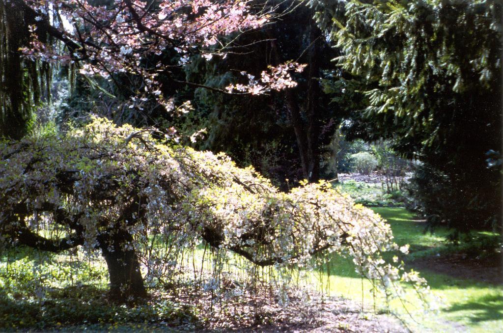 Casa Candana La Candana de Curueno 外观 照片